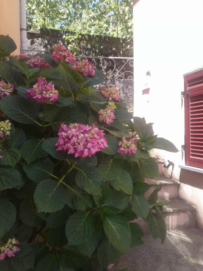 Ferienwohnung Monolocale Per Coppia Carrodano Inferiore Exterior foto